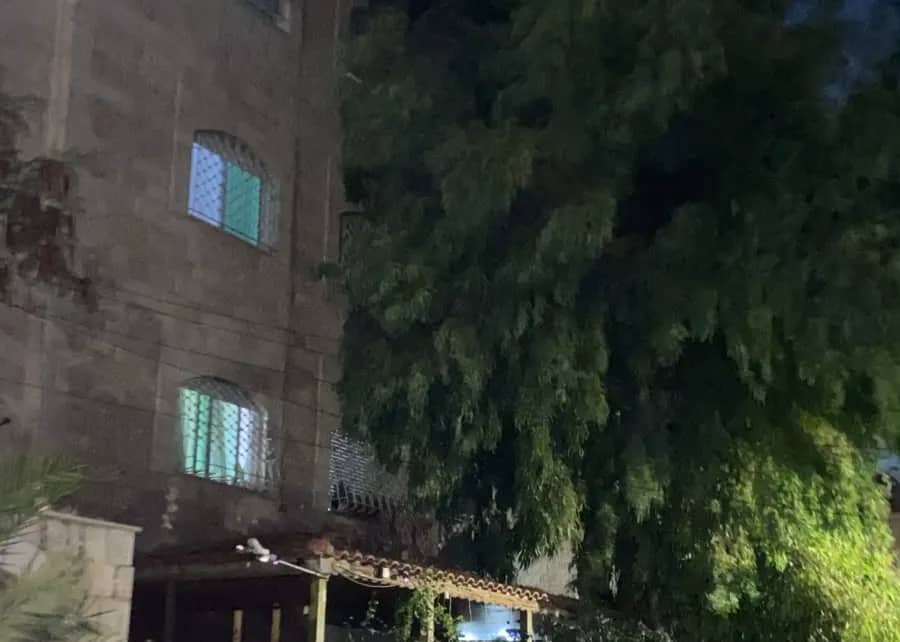 شجرة عملاقة تهدد بناية وتؤرق حياة قاطنيها بضاحية الأمير حسن - فيديو وصور