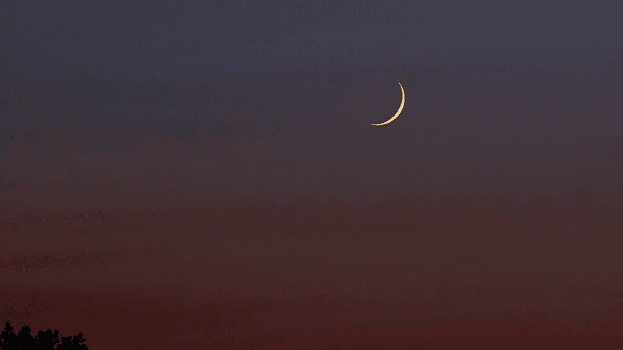 الإفتاء: الجمعة أول أيام شهر ربيع الأول