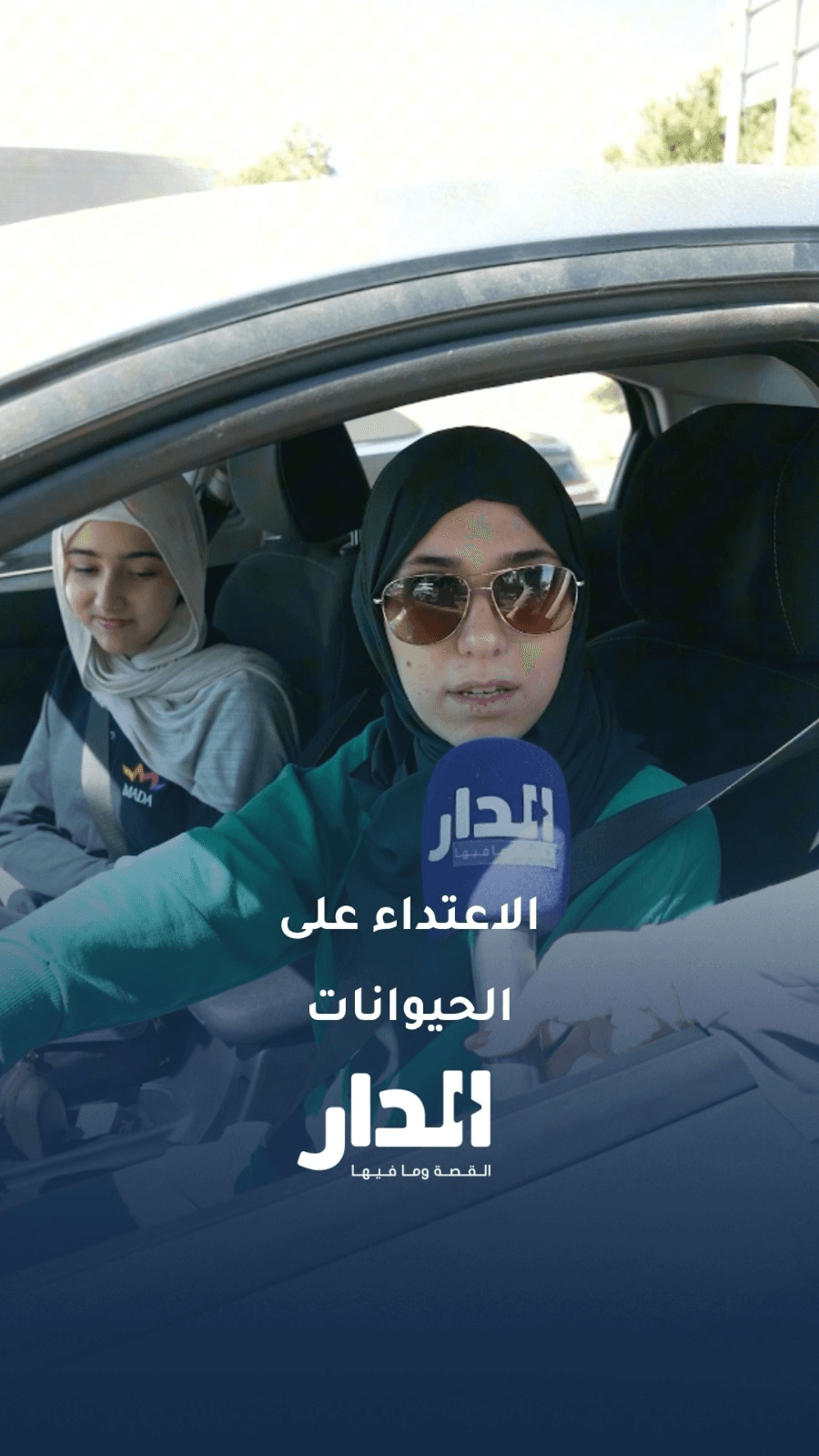 هل يوجد أي مبرر يبيح للإنسان الاعتداء على الحيوان؟