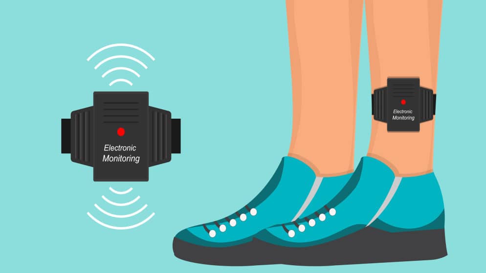 في تقريرها السنوي.. العدل تعلن تطبيق الرقابة الإلكترونية على 316 حالة