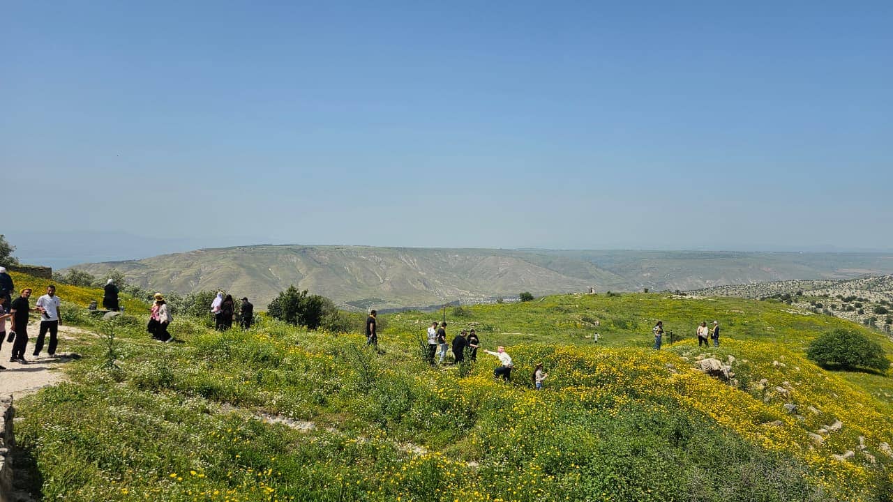 غياب الدفع الإلكتروني وضيق البوابة الرئيسية في أم قيس يثيران استياء السياح