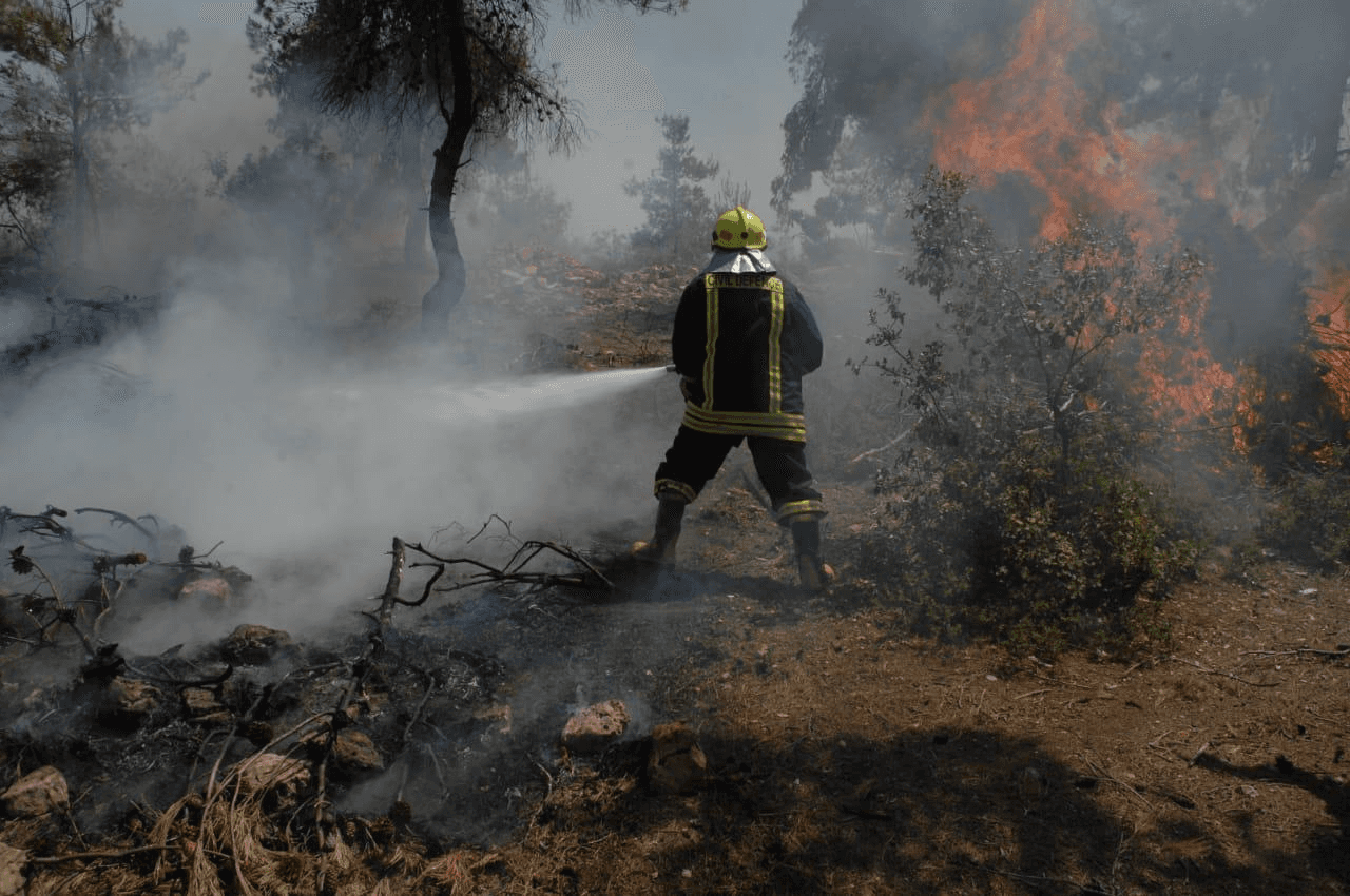 الولاعات وأعقاب السجائر تتسبب بأكثر من 5 آلاف حريق في الغطاء النباتي
