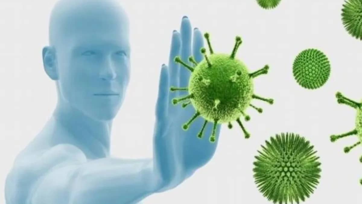 علماء يعلنون اختراع قد يُعيد شباب جهاز المناعة