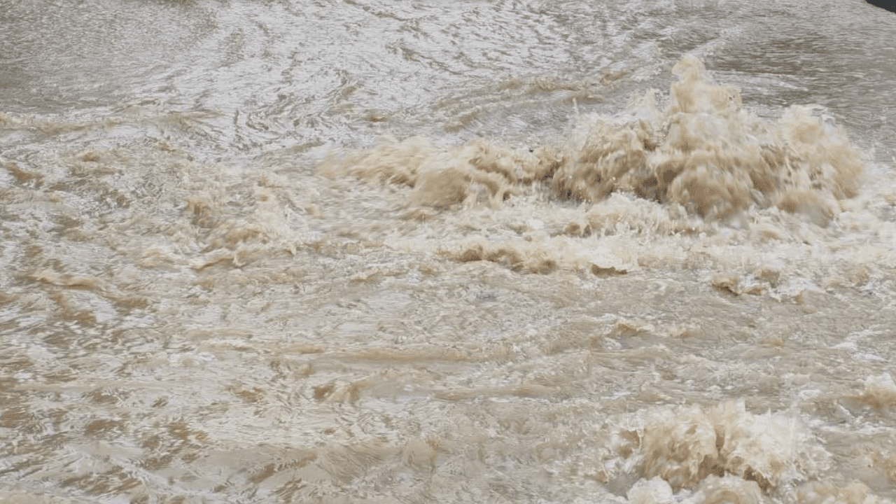 "أمانة عمّان": الرياح والأمطار جرفت الأتربة والحجارة إلى شوارع في عمّان ما أدى إلى تأخر تصريف المياه