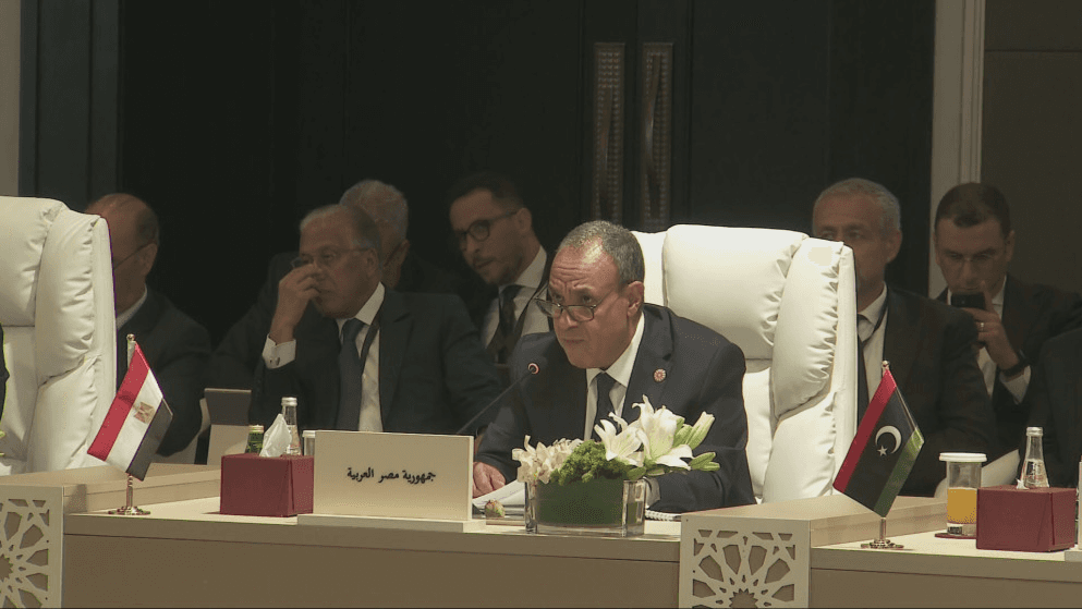 عبد العاطي: التهديدات تتسع واستقرار المنطقة العربية على المحك