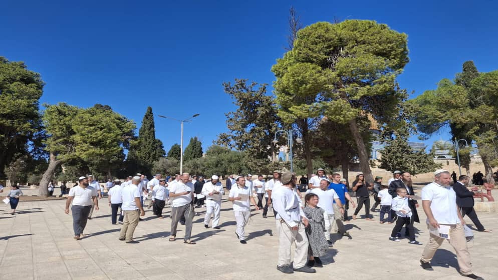 مستوطنون يقتحمون المسجد الأقصى ويؤدون طقوساً تلمودية