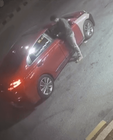 محاولة سرقة بـ20 دينار تهدد حياة شاب في ناعور