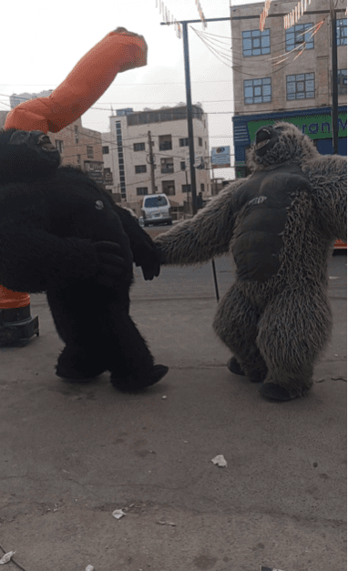 داخل الدب والغوريلا.. شباب أردنيون يهربون من البطالة إلى أعمال مرهقة بأجور متدنية