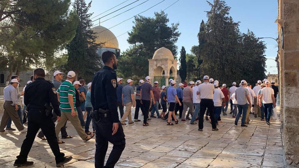 الأردن يدين اقتحام المستوطنين للأقصى: انتهاكًا صارخًا للوضع التاريخي والقانوني