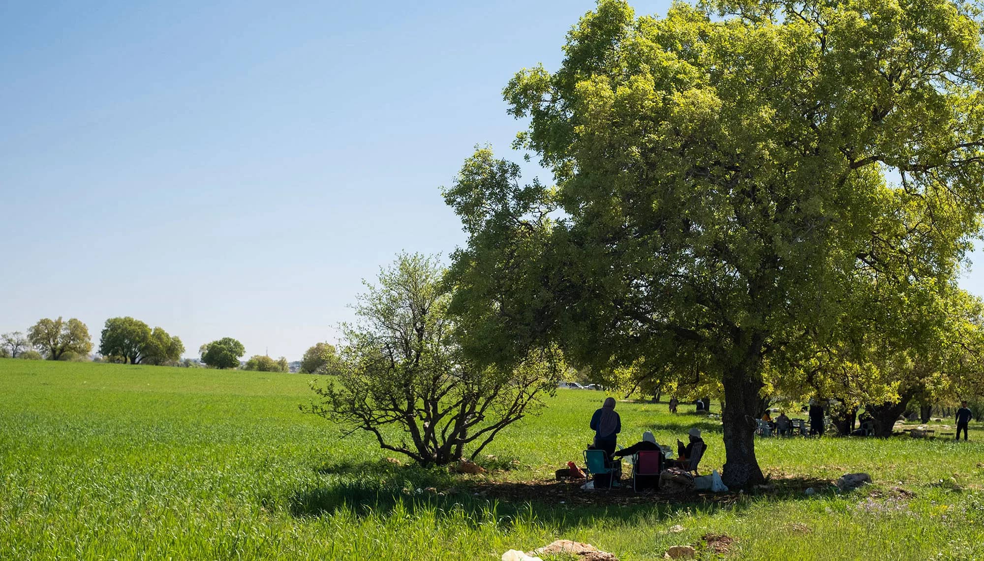 ارتفاع على درجات الحرارة الجمعة وزخات مطرية رعدية متوقعة في مناطق متفرقة