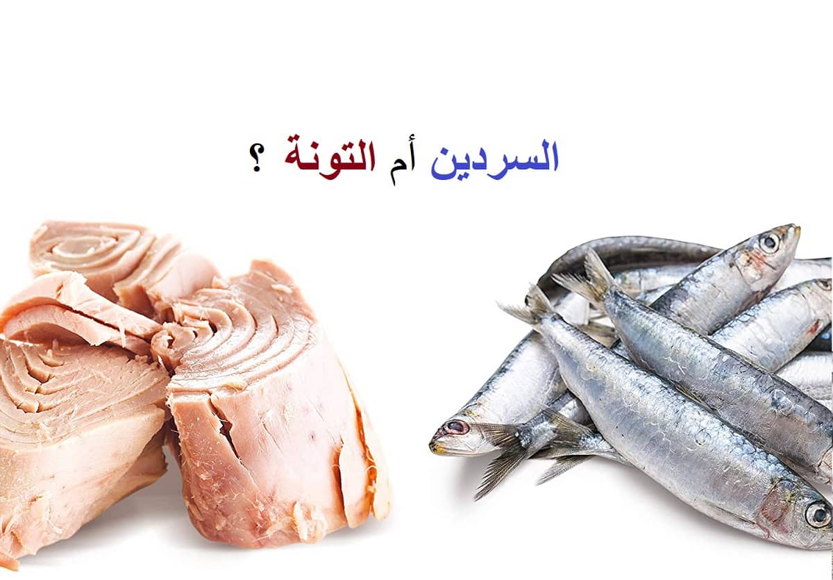 أيهما أغنى بأحماض أوميغا-3 والبروتين السردين أم التونا؟