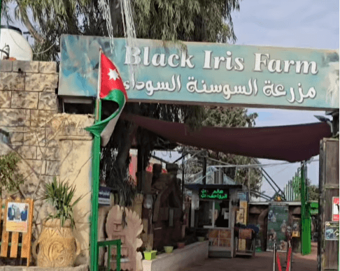 إغلاق "السوسنة السوداء".. مستثمر يتحدث عن خسائر بـ10 ملايين دينار.. والزراعة ترد