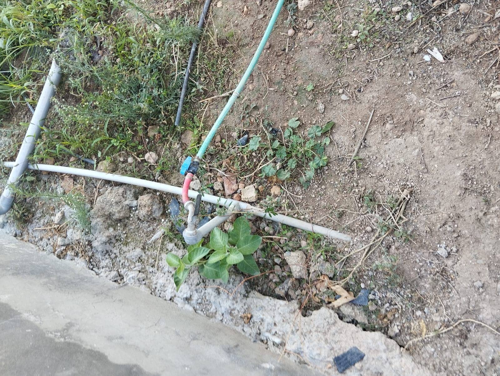 "المياه": ضبط اعتداءات على خط رئيسي في الأغوار الشمالية