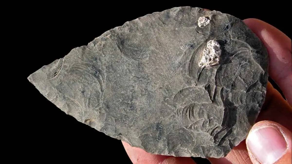 كنز هاليبي".. هياكل إثيوبيا تعيد كتابة قصة الإنسان العاقل قبل 100 ألف عام