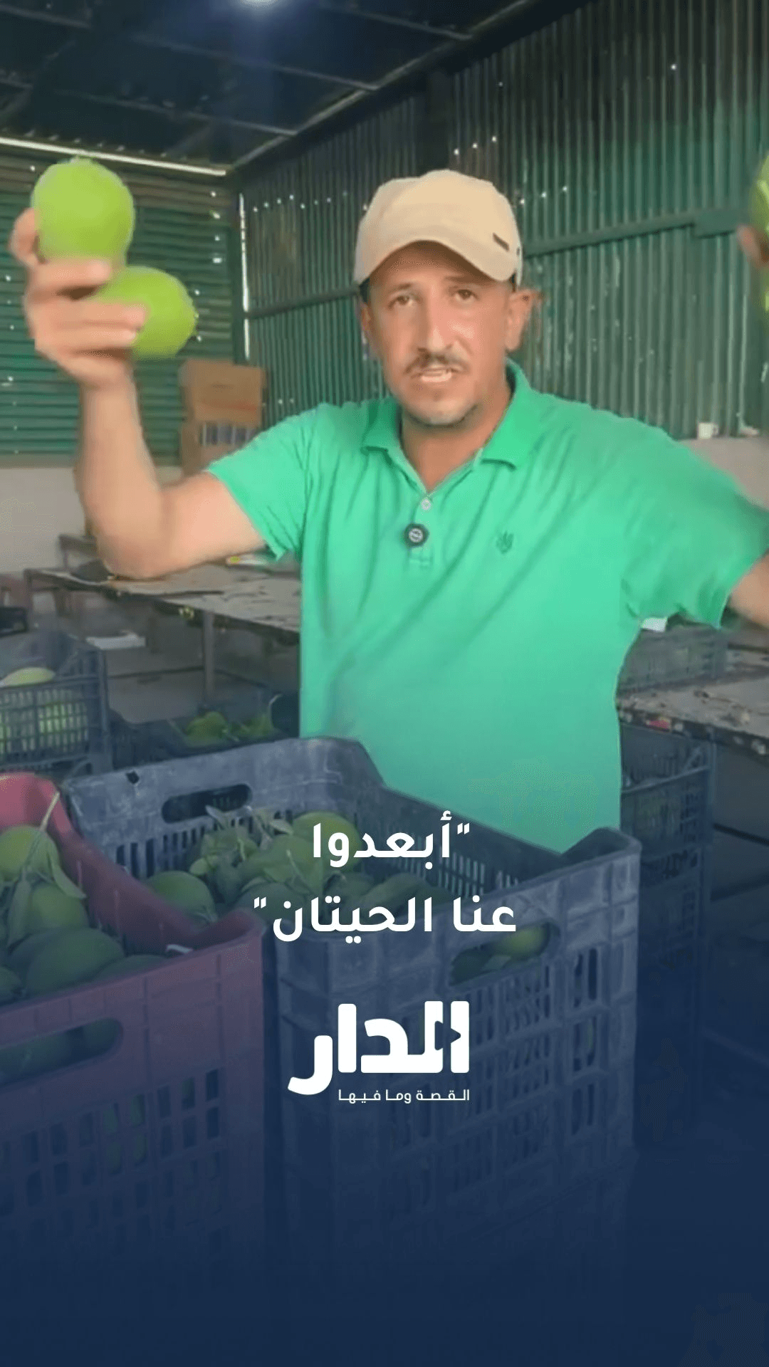 مزارع يؤكد على جودة الحمضيات الأردنية ويطالب بوضع حد لمن يضر بالمنتج المحلي