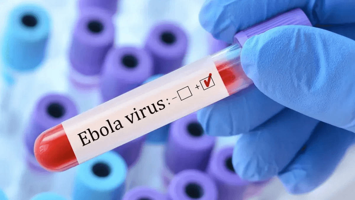 الأردن يغلق حدوده أمام القادمين من هذه الدول بسبب فيروس إيبولا