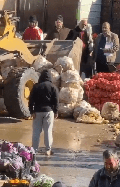 بلدية اربد: إتلاف كميات من البطاطا مصدرها “الديسي” لأنها كانت متعفنة