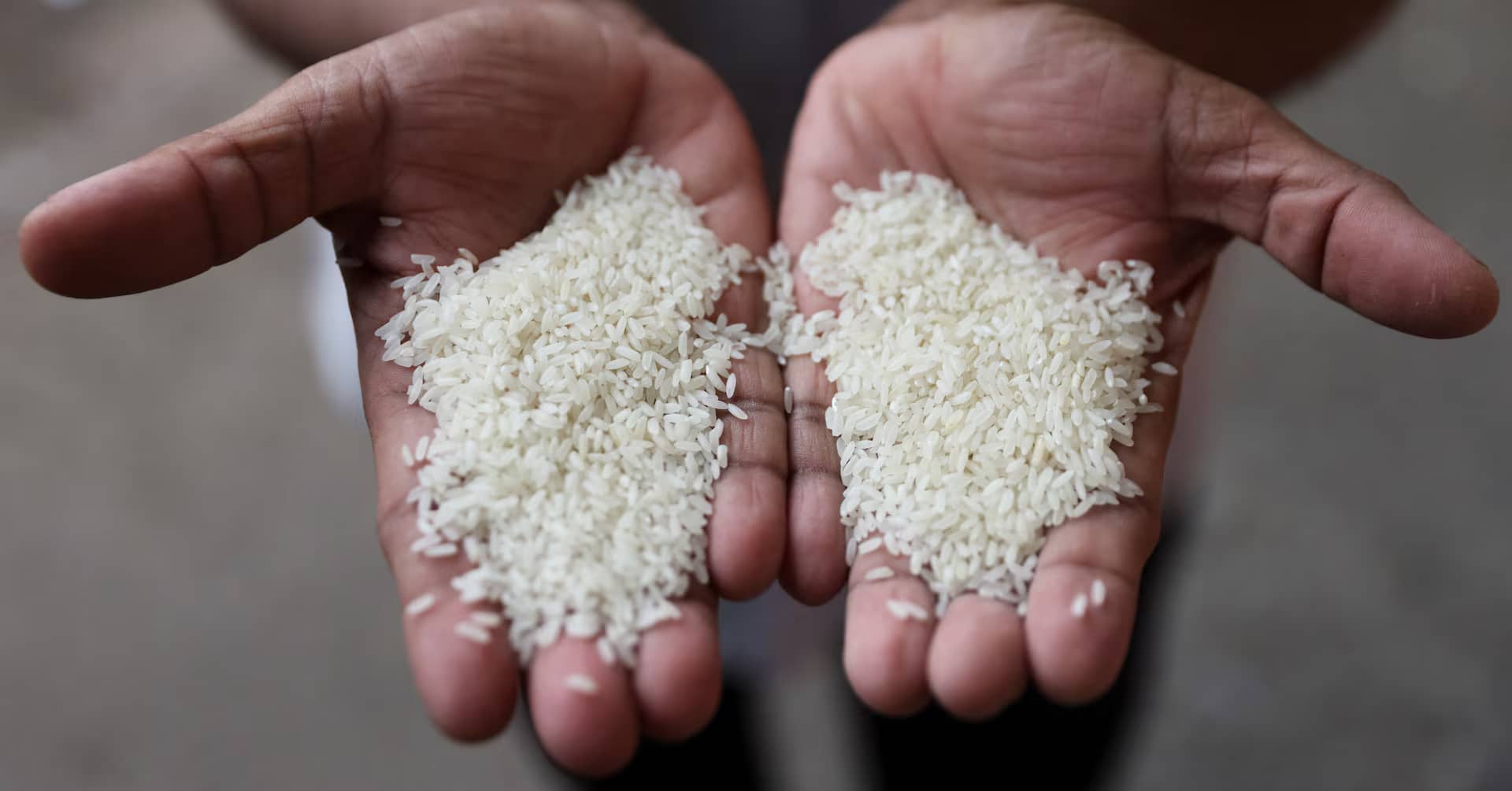 ثورة في الأمن الغذائي.. تعديل جيني في الأرز يقلص تكاليف الإنتاج ويواجه تحديات المناخ