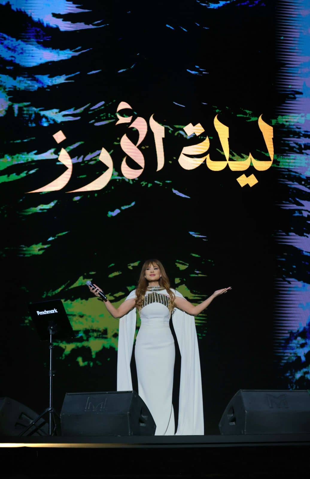 كارول سماحة تطلق صرخة سيادية وتؤكد: مصلحة الوطن فوق كل اعتبار