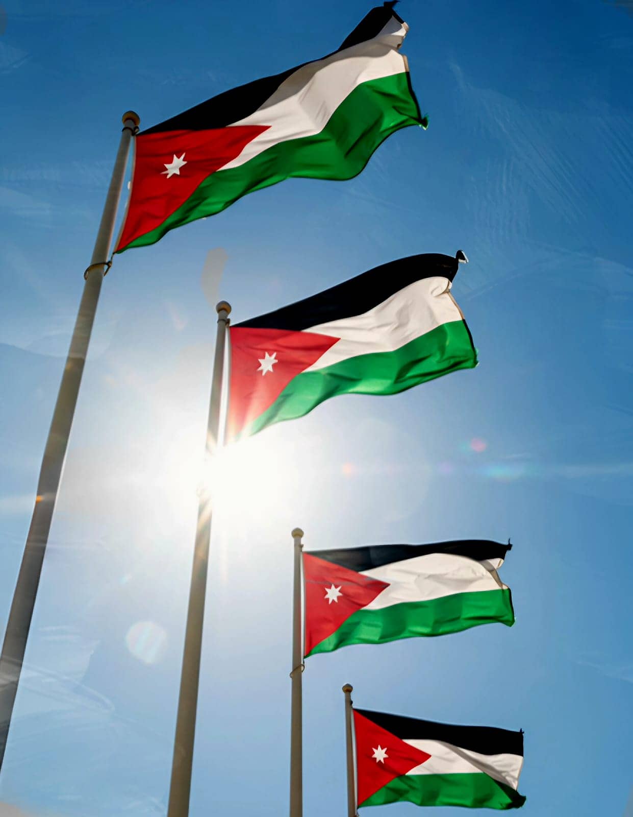 رئيس الوزراء يعمم برفع العلم الأردني على المؤسسات الرسمية