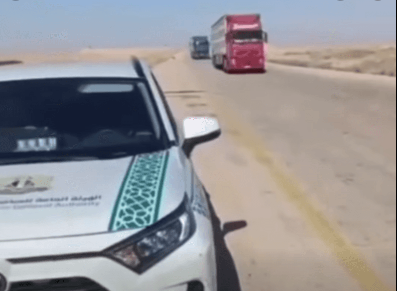 اتهامات تُجبر صادرات الأغنام السورية على هجر المسار الأردني