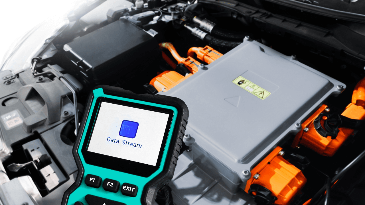 شكاوى من عيوب مصنعية في مركبات كهربائية بالأردن.. وحماية المستهلك توضح