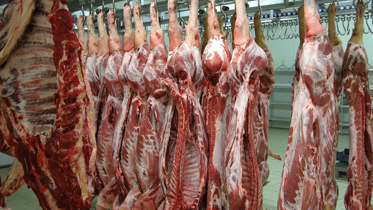وزارة الزراعة تستأنف استيراد اللحوم الطازجة من سوريا