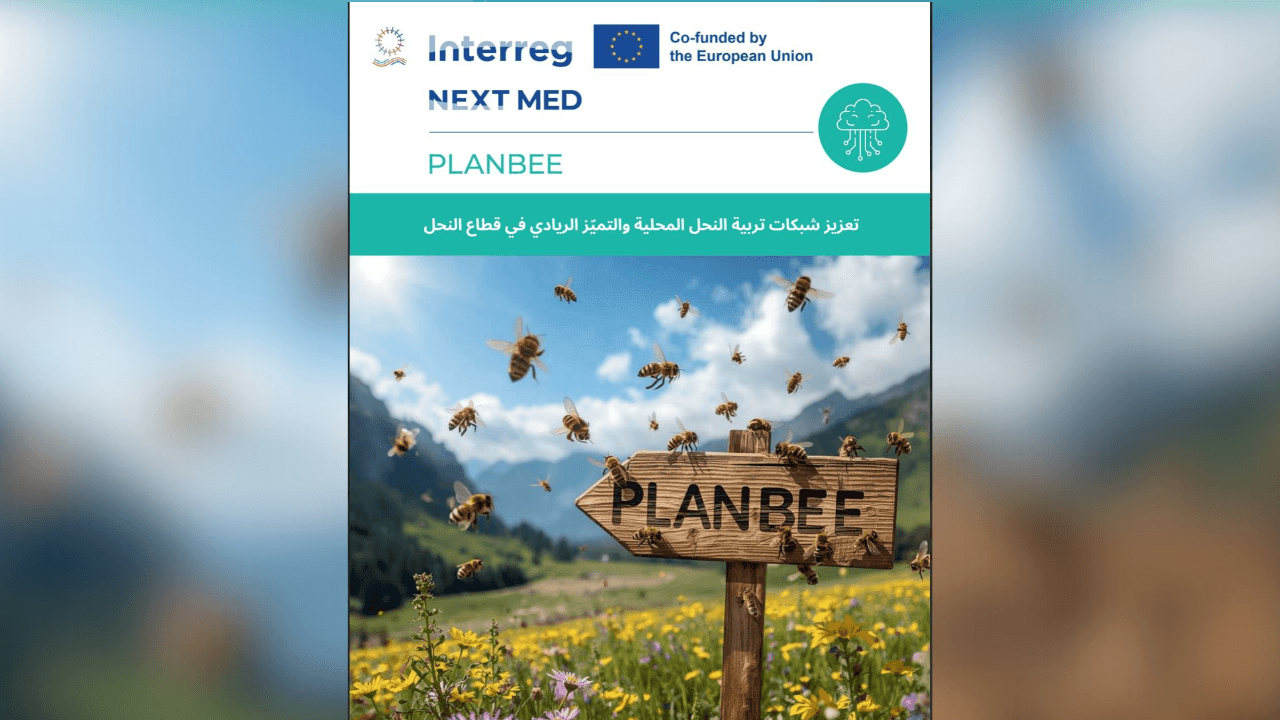 من خلايا النحل إلى آفاق التنمية: تعزيز اقتصاد النحل المستدام في الأردن