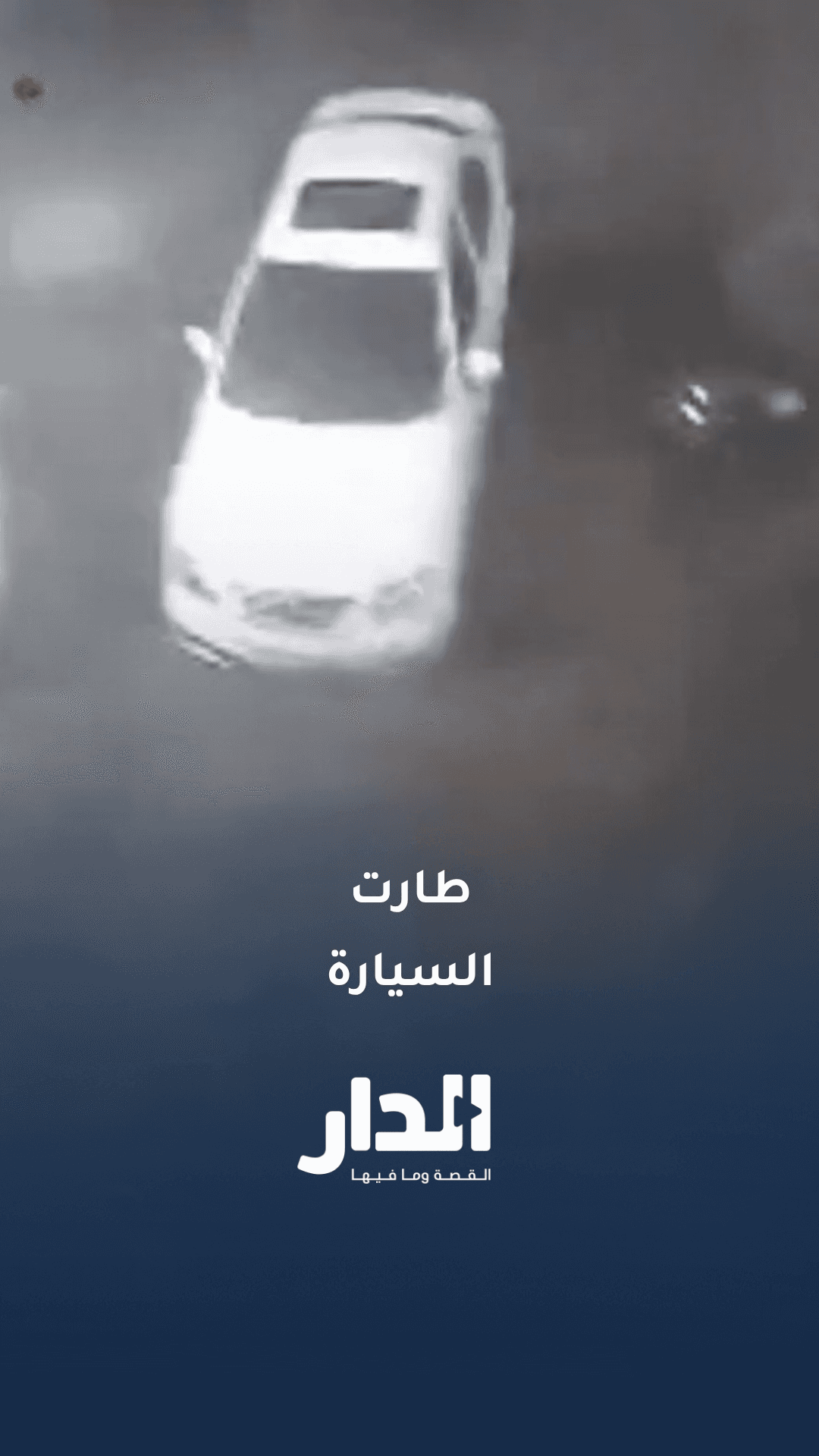قرد ينهي حياة مسنة تبلغ 91 عاما بركلة واحة