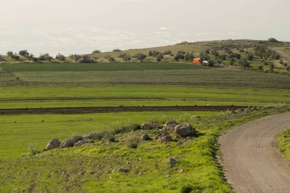 وزارة الزراعة: أمطار الخير تعزّز الإنتاج الزراعي وتدعم الثروة النباتية في الأردن