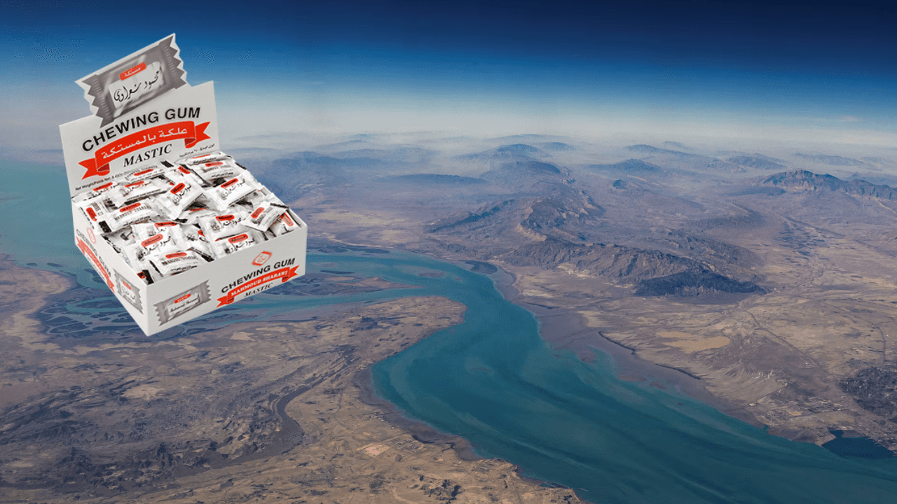 شركة شعراوي لـ "عين": ربحنا قليل ولن نرفع سعر العلكة