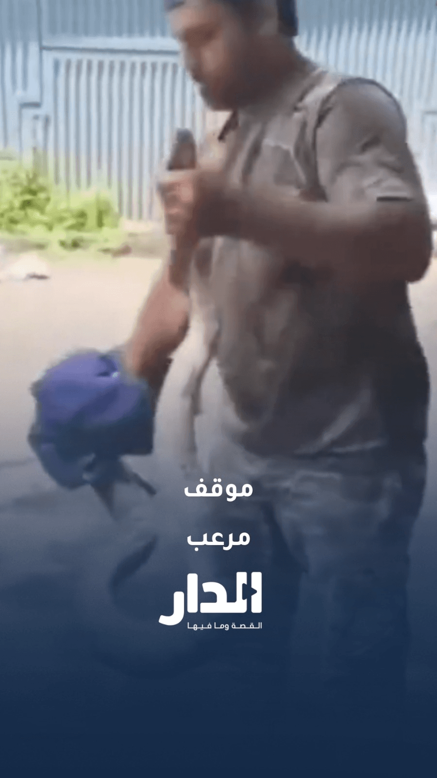 لحظة مرعبة.. أفعى بايثون تختبئ داخل محرك سيارة