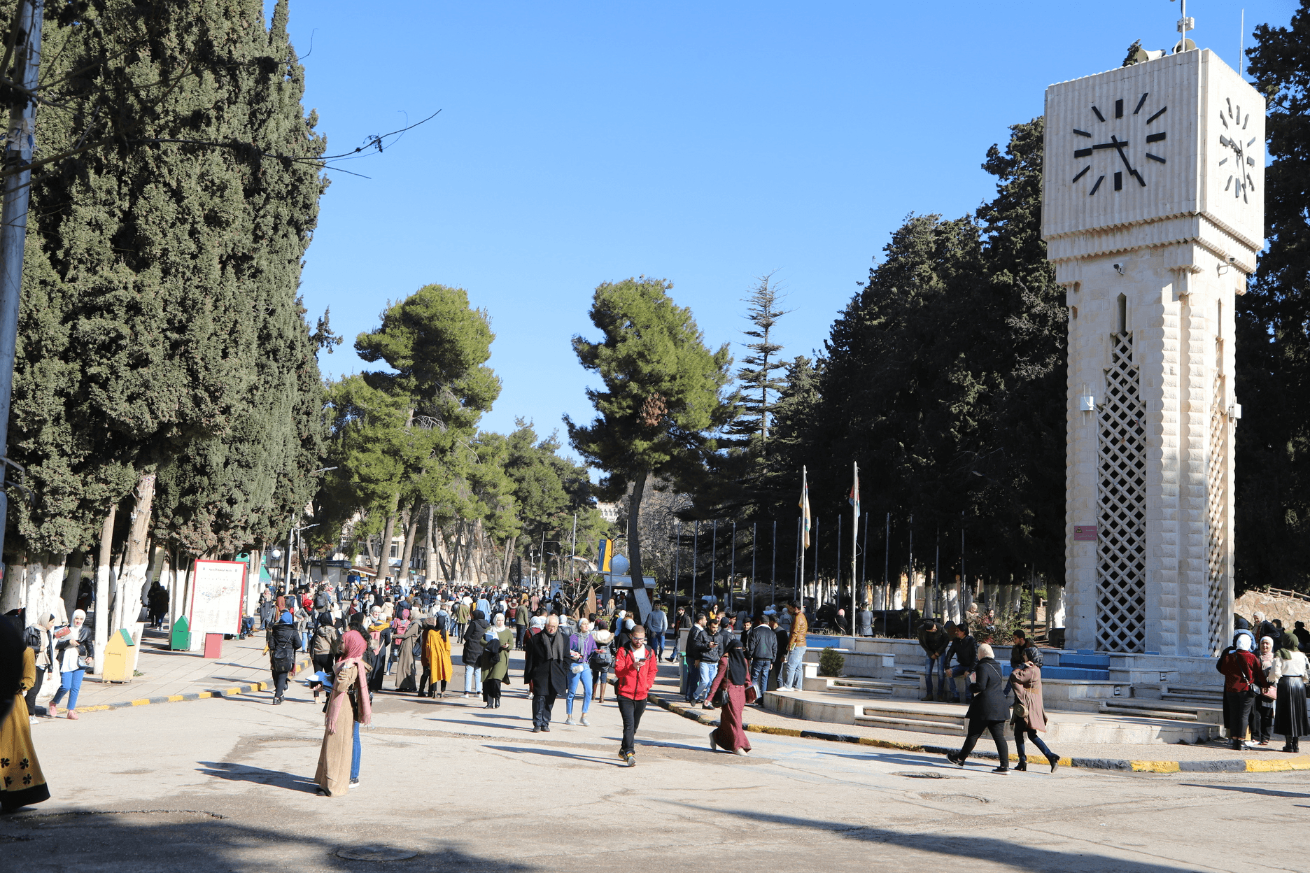 بدء تقديم طلبات النقل بين التخصصات والجامعات