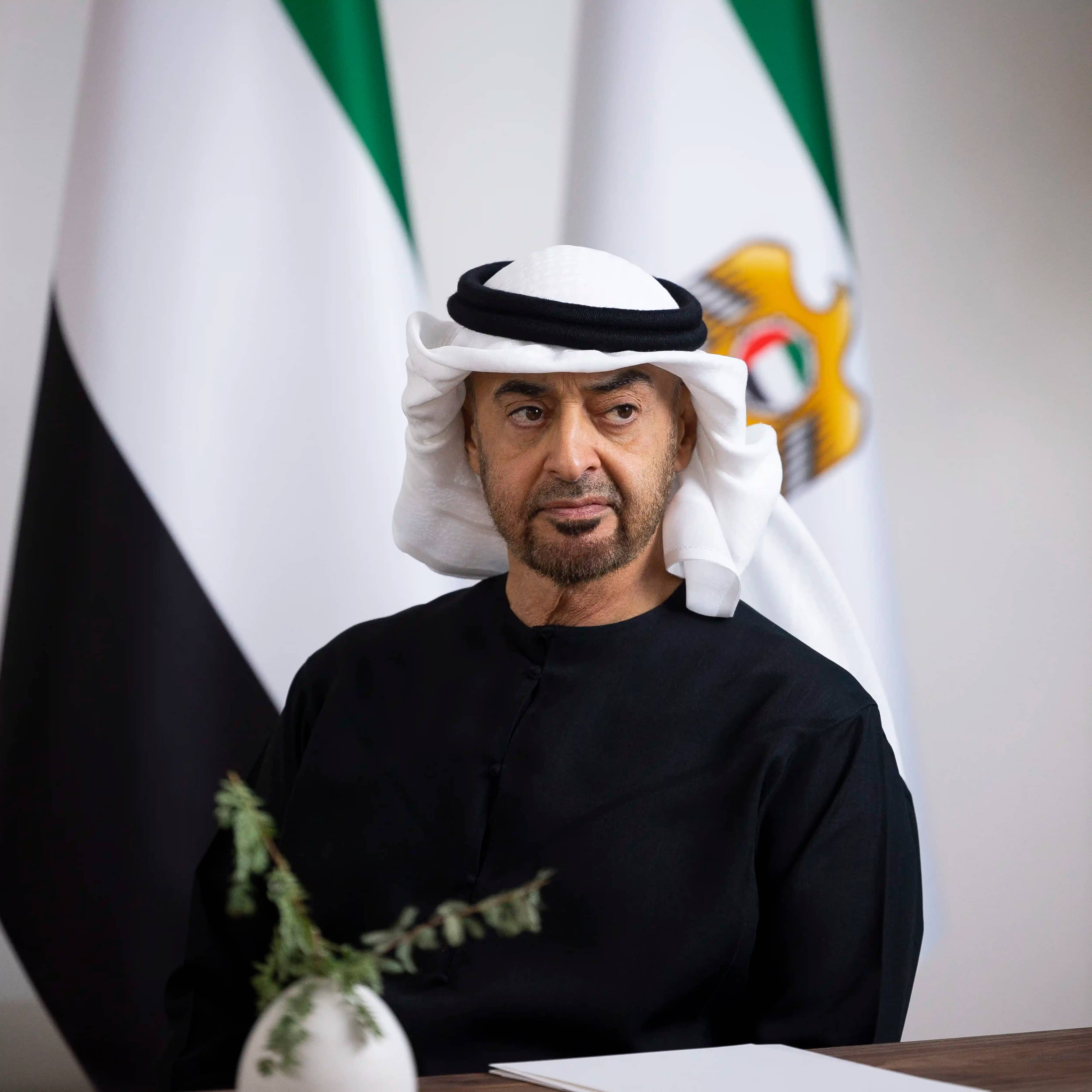 بن ​زايد ردا على الهجمات الصاروخية: "بلادنا بخير والإمارات لحمتها مُرّة ولن تُؤكل"