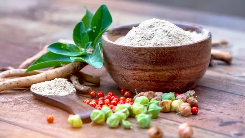 ابتكار علمي قد يغيّر صناعة "الأشواغاندا" حول العالم