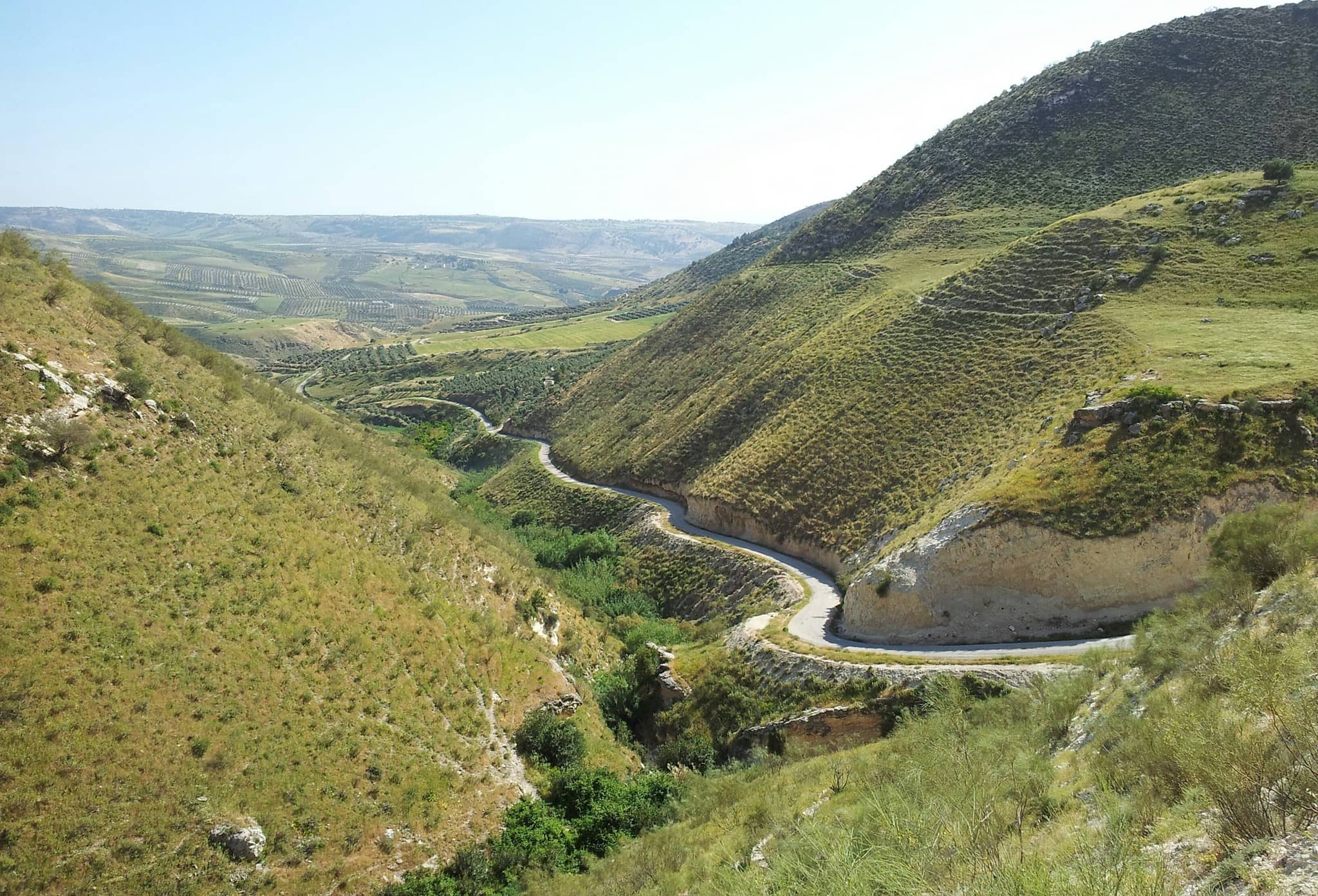 "الأشغال" تباشر دراسة مشروع توسعة طريق "أم قيس- كفر أسد"