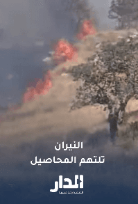 النيران تلتهم أشجار ومحاصيل بمنطقة العالوك