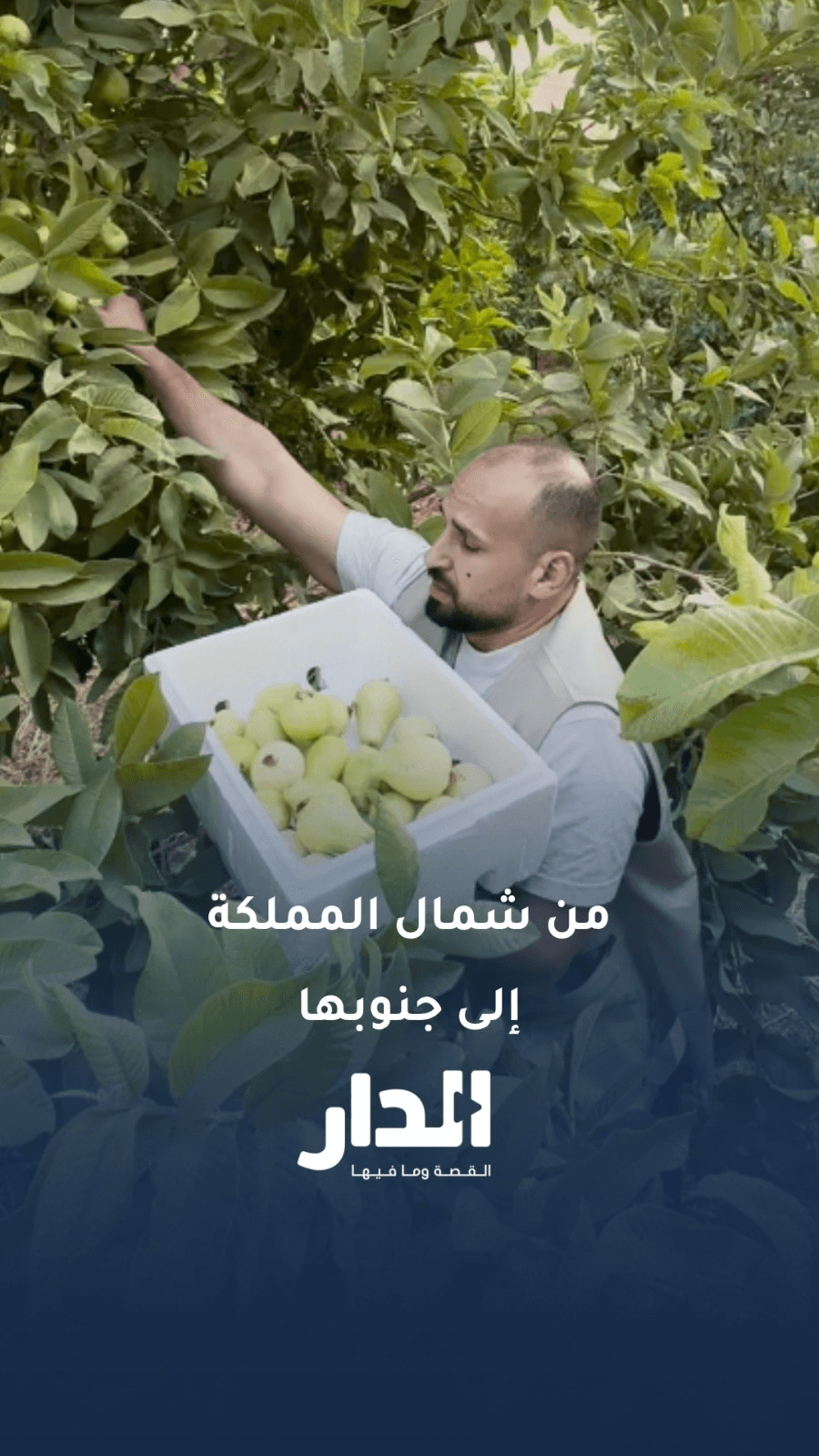 دكتور أردني يوثق خيرات المملكة.. ومقاطعُه تفتح أبواب الرزق