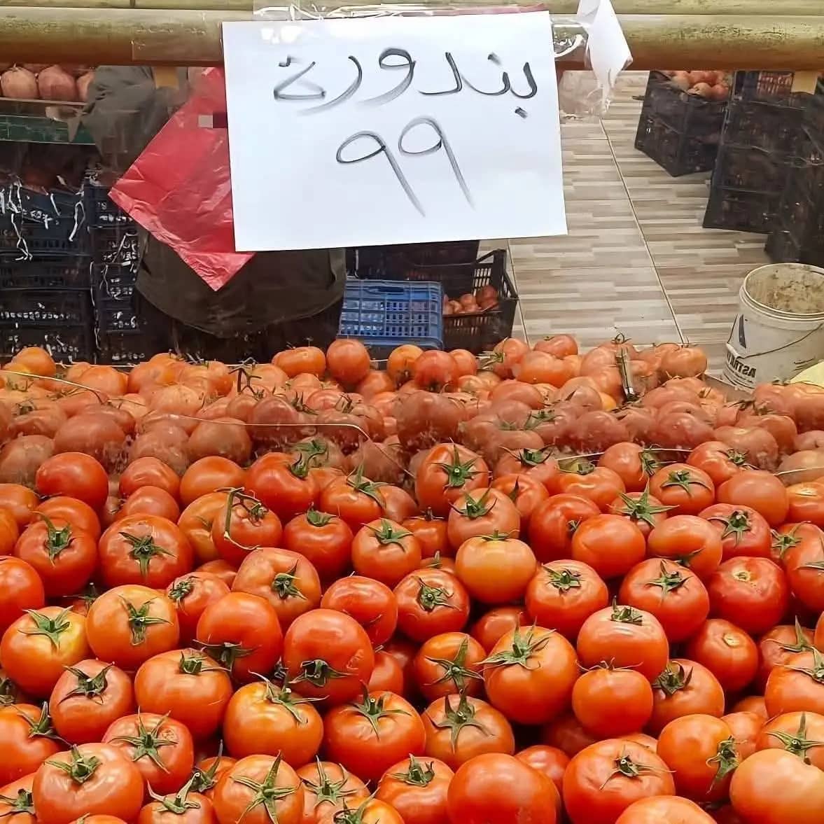 مواطنون لـ"الدار": أسعار البندورة ما زالت مرتفعة رغم تحسن الأجواء وفتح "هرمز"