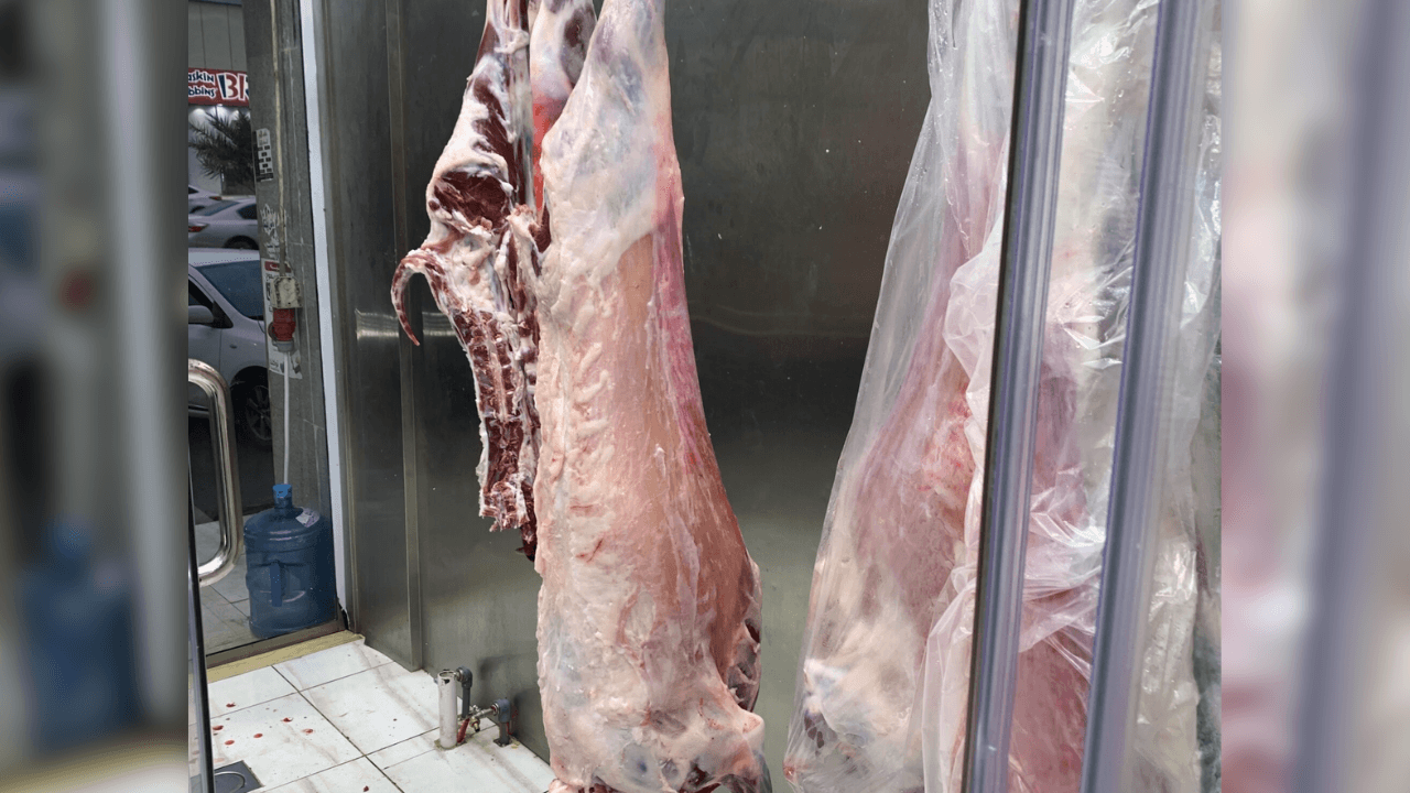 رئيس جمعية مربي المواشي: هناك مبالغة في رفع أسعار اللحوم قبل رمضان في الأردن