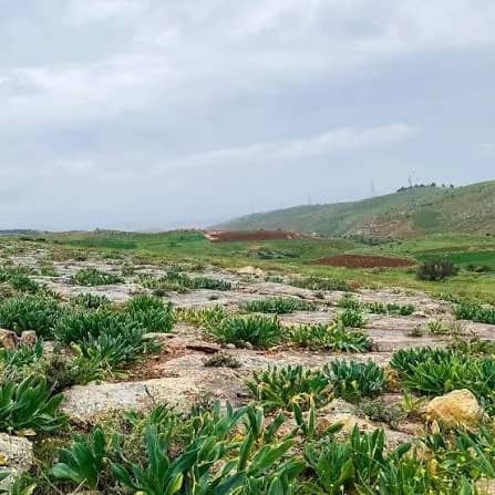 ارتفاع على درجات الحرارة الأربعاء وأجواء معتدلة في أغلب المناطق