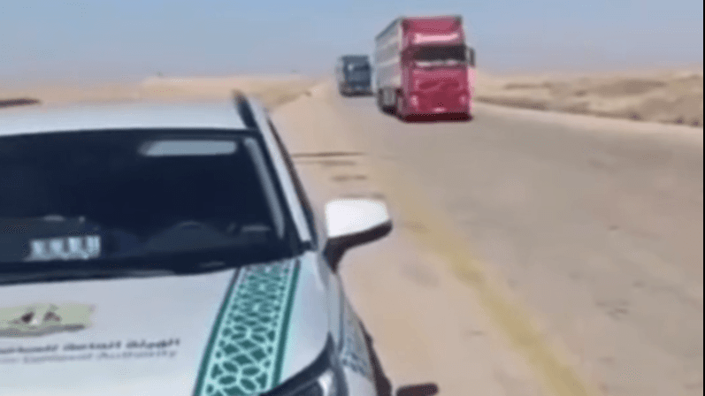 اتهامات تُجبر صادرات الأغنام السورية على هجر المسار الأردني (وثيقة)