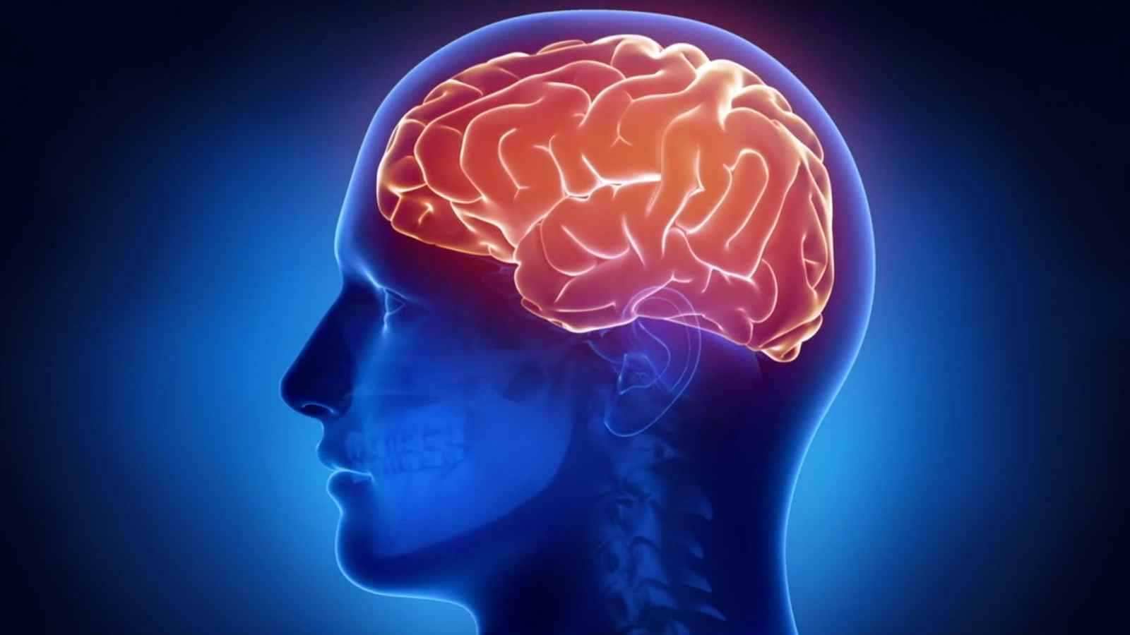 وجبة يومية شائعة تحسّن الذاكرة وتدعم قدرات الدماغ