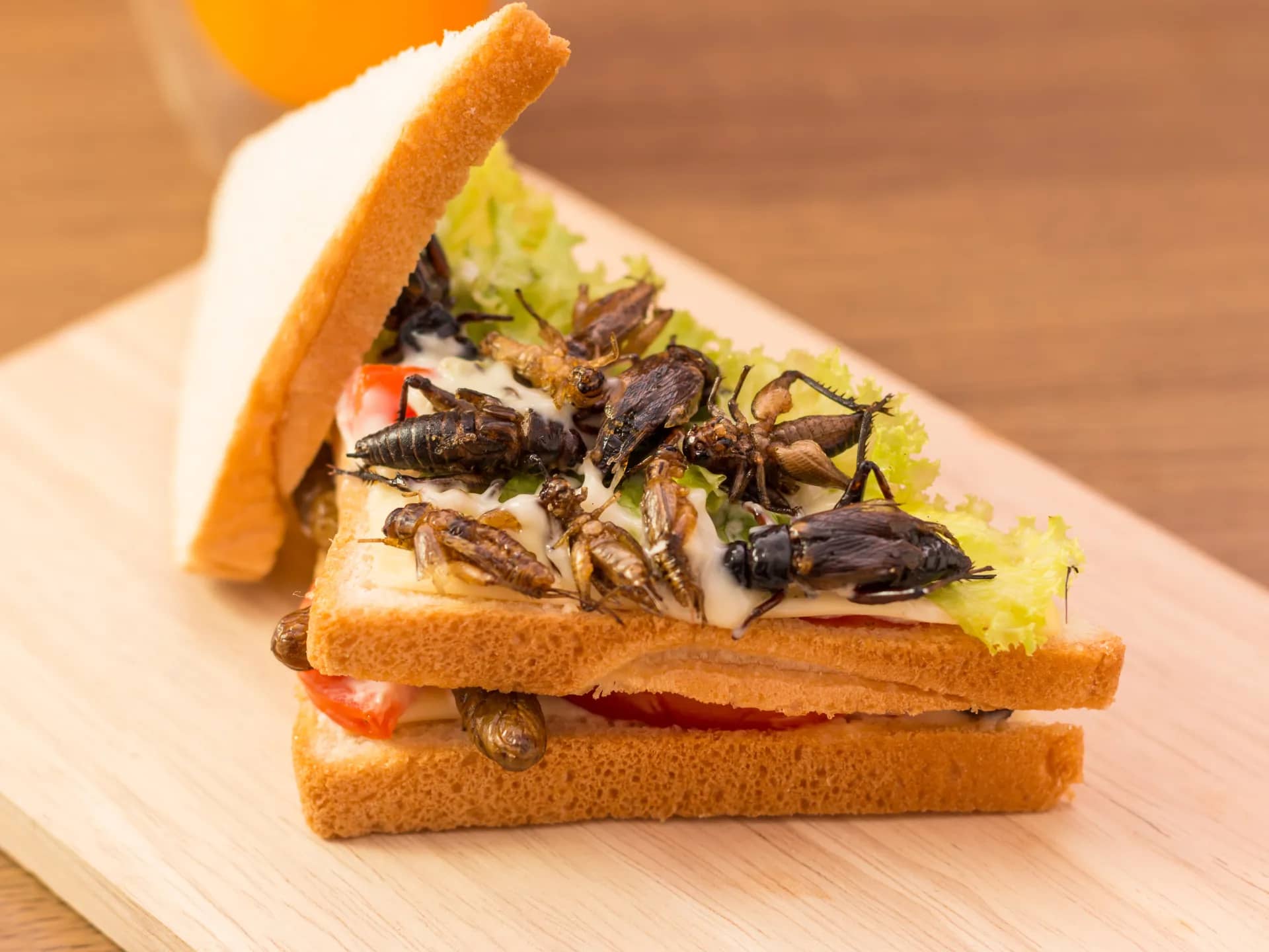 "الغذاء والدواء" تُغلق 3 مطاعم في أحد مراكز التسوق الكبرى بعمان إثر رصد "حشرات"