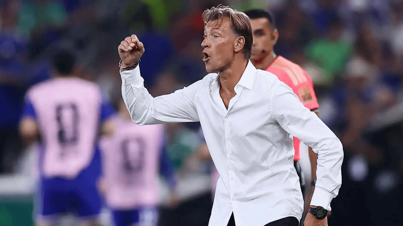 هيرفي رينارد يقترب من تدريب منتخب كوريا الجنوبية