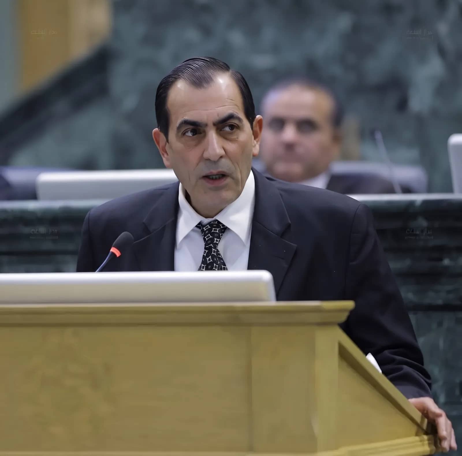 القباعي: منع تصدير زيتون المائدة يهدد بانخفاض أسعاره