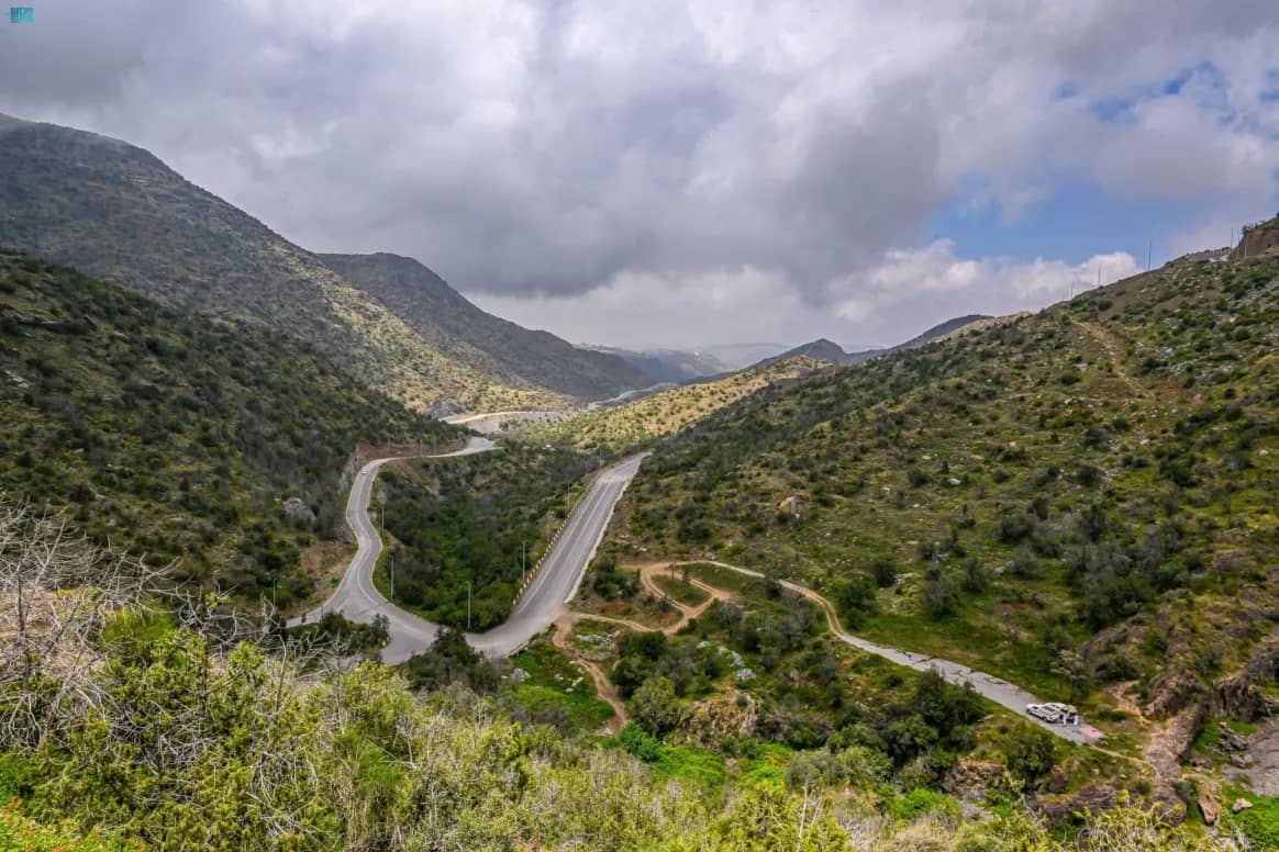 الهيئة الملكية للعُلا تشدد على حماية الغطاء النباتي وتحذر من استخدام المركبات المخالِفة وتفرض غرامات