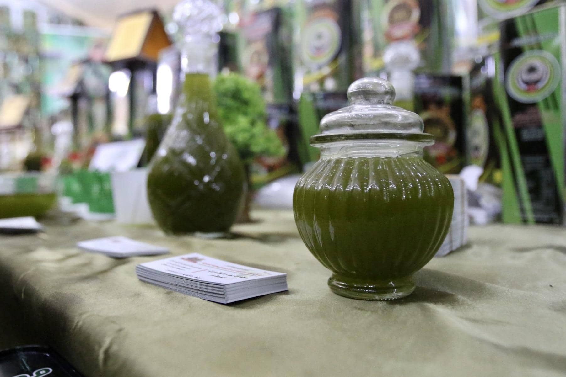 مهرجان الزيتون يستقبل 196 ألف زائر.. والقضاة: نطمح لنصف مليون هذا العام