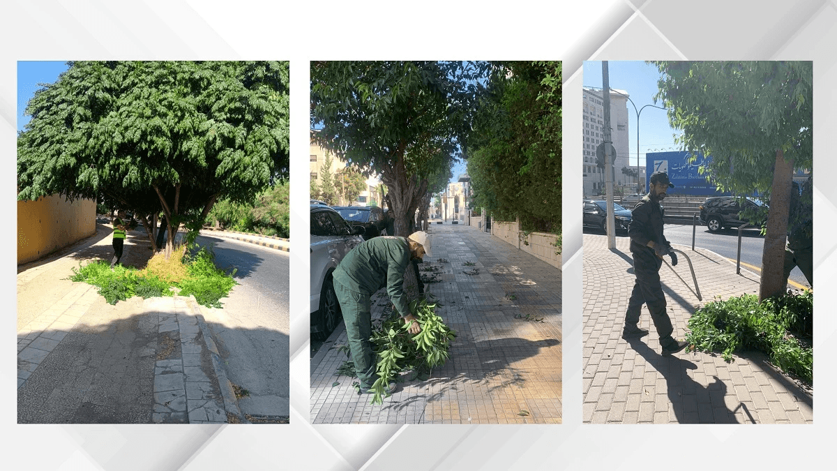 أمانة عمّان: الأرصفة حق للمشاة ومنع استخدامها كمواقف خاصة أو لخدمات الفاليت