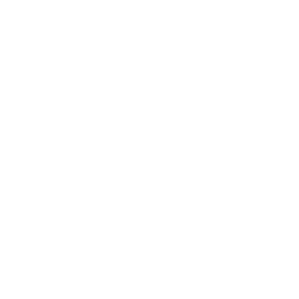 Play Icon